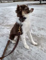 processed/bed7d127-81e5-414b-94be-7973c2da27a5/facility/35775009-743a-4f03-ad85-1dcf7a811644