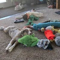 processed/bed7d127-81e5-414b-94be-7973c2da27a5/facility/35d25ccc-b80f-4bc2-a97b-a8fbcc8712bf