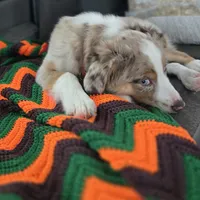 processed/bed7d127-81e5-414b-94be-7973c2da27a5/facility/621d2d8e-e220-4d95-85c7-786e886840ef