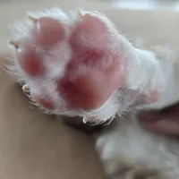 processed/bed7d127-81e5-414b-94be-7973c2da27a5/facility/6fd6c3fe-91a9-47b5-b32e-611b81f62a7b