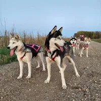 processed/bed7d127-81e5-414b-94be-7973c2da27a5/facility/a3978432-0c9e-4762-9f9d-257357d09754