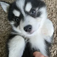 processed/bed7d127-81e5-414b-94be-7973c2da27a5/facility/abf1de50-6f61-4195-89f2-68a3239485ad