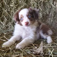 processed/bed7d127-81e5-414b-94be-7973c2da27a5/facility/b0681bf8-3362-46b2-be61-02fed2b2468f