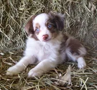 processed/bed7d127-81e5-414b-94be-7973c2da27a5/facility/b0681bf8-3362-46b2-be61-02fed2b2468f