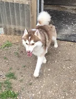 processed/bed7d127-81e5-414b-94be-7973c2da27a5/listing/898b63f9-46e0-4c30-b920-c2a0faa07b89/2879486b-a9ea-47b4-aafc-9402f87135c9