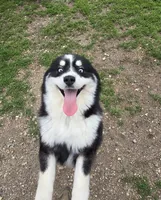 processed/bed7d127-81e5-414b-94be-7973c2da27a5/listing/898b63f9-46e0-4c30-b920-c2a0faa07b89/df904ef9-d174-479a-b4ca-15b5f467de4e