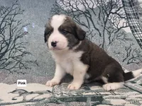 processed/bed9d080-9376-490c-9a1d-d8c8b76b77a7/listing/2305a403-7802-4e53-8246-5c4d988aaecd/2a09022c-39d9-4282-a187-e93db01e3944