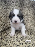 processed/bed9d080-9376-490c-9a1d-d8c8b76b77a7/listing/2305a403-7802-4e53-8246-5c4d988aaecd/8c486e6c-492b-45e4-be10-a53d46bd4a78