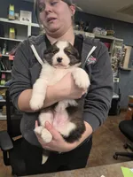 processed/bed9d080-9376-490c-9a1d-d8c8b76b77a7/listing/2305a403-7802-4e53-8246-5c4d988aaecd/af415028-5dce-4107-8a86-065fbce51df1