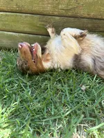 Facility photo