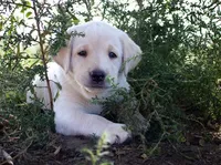 processed/bee06dc1-8163-4919-bca3-10c23a4d256c/facility/fbc5bbe7-aaea-4fa3-856c-80b234a5d51b