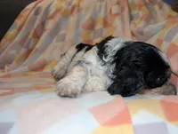 processed/bee6785d-44b1-4d2e-9b79-9046db00d2d6/listing/022f87ae-b2f5-4804-a05a-08752d55547c/7b699cb7-0047-4834-ab1b-308dd577ab2c