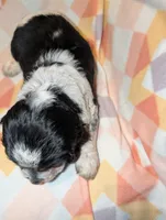 processed/bee6785d-44b1-4d2e-9b79-9046db00d2d6/listing/022f87ae-b2f5-4804-a05a-08752d55547c/8d2b500b-e034-459e-9088-3ec70e22a152