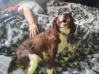 processed/bee6785d-44b1-4d2e-9b79-9046db00d2d6/listing/20b20cc9-7615-4372-9c2d-aa4a737f43dc/9769afd4-56d0-476c-a7ac-836cc49a3fb6