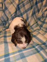 processed/bee6785d-44b1-4d2e-9b79-9046db00d2d6/listing/3a473425-6fb6-4147-8100-0993f9aaa826/73c45ec7-edeb-4aa4-ba1b-e395ed67db9a