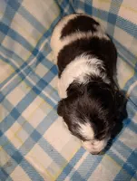 processed/bee6785d-44b1-4d2e-9b79-9046db00d2d6/listing/3a473425-6fb6-4147-8100-0993f9aaa826/edc08b04-4827-48d0-803d-3ad404ea2557