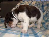 processed/bee6785d-44b1-4d2e-9b79-9046db00d2d6/listing/3a473425-6fb6-4147-8100-0993f9aaa826/ef8c5abd-80d7-42bf-a60f-c4cbf1bcb088