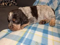 processed/bee6785d-44b1-4d2e-9b79-9046db00d2d6/listing/523477fb-6a2c-4926-8cf0-ea82a3e7e5b4/15232d41-bd04-46ff-8825-0e5170ffcf9b