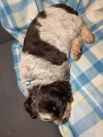 processed/bee6785d-44b1-4d2e-9b79-9046db00d2d6/listing/523477fb-6a2c-4926-8cf0-ea82a3e7e5b4/da5ae422-e85f-4aab-8e34-c588497d84ee