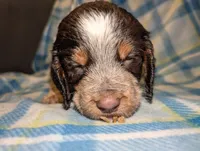 processed/bee6785d-44b1-4d2e-9b79-9046db00d2d6/listing/527b82b5-33ee-4919-bea1-c132ac38660d/238f7e2f-8050-4f7a-aebf-e50701197c7e