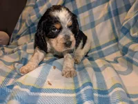 processed/bee6785d-44b1-4d2e-9b79-9046db00d2d6/listing/527b82b5-33ee-4919-bea1-c132ac38660d/468fab14-2ec5-4a61-89bd-bbcb8a93795d