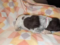 processed/bee6785d-44b1-4d2e-9b79-9046db00d2d6/listing/7582efe4-2993-4901-b920-8c7bb9a7630c/0248607e-adf1-4fd2-bb78-18029467a250