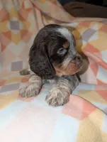 processed/bee6785d-44b1-4d2e-9b79-9046db00d2d6/listing/7582efe4-2993-4901-b920-8c7bb9a7630c/1d7f266c-a736-432a-8e91-ad6c8bc15e4c