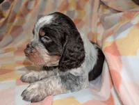 processed/bee6785d-44b1-4d2e-9b79-9046db00d2d6/listing/7582efe4-2993-4901-b920-8c7bb9a7630c/7855c487-274f-4e49-ac6b-e26c6d977710