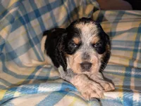 processed/bee6785d-44b1-4d2e-9b79-9046db00d2d6/listing/8275f706-5119-4e25-ace4-8371acd31e27/588502a0-16c2-4210-875e-731ccfdc632f