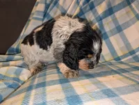 processed/bee6785d-44b1-4d2e-9b79-9046db00d2d6/listing/8956edf0-bf99-44c3-97bc-2dd7bbe96b32/8251b38f-9e6f-457f-9548-8ef3c103583d