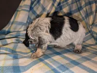 processed/bee6785d-44b1-4d2e-9b79-9046db00d2d6/listing/8956edf0-bf99-44c3-97bc-2dd7bbe96b32/d27bb338-f035-410a-a40d-6d823fe4012d