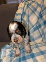 processed/bee6785d-44b1-4d2e-9b79-9046db00d2d6/listing/a4446abd-672b-43c2-b4fa-ec3af17247d4/2b9657a1-fa12-4f67-8af9-4e6b9f47554c