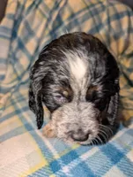 processed/bee6785d-44b1-4d2e-9b79-9046db00d2d6/listing/bcc160b8-89d4-4fe2-839f-2525dc4dd850/32c24986-b1d4-4fcd-80e7-98503142d526