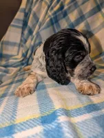 processed/bee6785d-44b1-4d2e-9b79-9046db00d2d6/listing/bcc160b8-89d4-4fe2-839f-2525dc4dd850/649bfb48-d869-41a5-aff5-96e1f3f14ffa