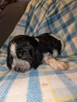 processed/bee6785d-44b1-4d2e-9b79-9046db00d2d6/listing/bcc160b8-89d4-4fe2-839f-2525dc4dd850/a3eff7c6-9822-4a6c-b089-db47db455411