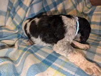 processed/bee6785d-44b1-4d2e-9b79-9046db00d2d6/listing/bcc160b8-89d4-4fe2-839f-2525dc4dd850/add98f5e-7deb-4769-9d10-b7f517bbf158