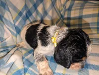 processed/bee6785d-44b1-4d2e-9b79-9046db00d2d6/listing/f43fc0dc-39bf-442c-9dc7-5b37475b6a83/444844c4-d586-4164-aa70-0d551a5d55fa