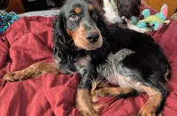 processed/bee6785d-44b1-4d2e-9b79-9046db00d2d6/listing/f43fc0dc-39bf-442c-9dc7-5b37475b6a83/927b4041-0cd6-4a05-9fe1-3978d6a04bf2