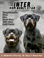 Inter , a male Rottweiler for sale in Middleburg, PA – 4 of 5