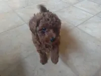 processed/beeca229-d17f-497e-835c-2e4f88d95398/facility/9f68f168-e9da-4ddd-a744-abae82e70786