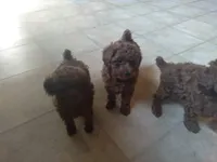 processed/beeca229-d17f-497e-835c-2e4f88d95398/facility/eed81395-1a5b-4b65-8e99-4b47c144b71a