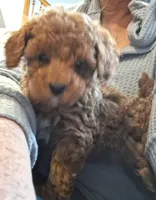 processed/beeca229-d17f-497e-835c-2e4f88d95398/listing/d1cfaa22-e554-43c4-b31e-6d2c1c9be76a/06aa65dc-2969-47a4-ae82-8def398f1a4d