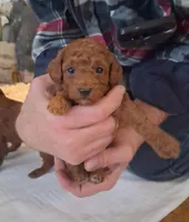 processed/beeca229-d17f-497e-835c-2e4f88d95398/listing/d1cfaa22-e554-43c4-b31e-6d2c1c9be76a/28b9bcfd-32a5-42bd-84b6-371c36b3cb91