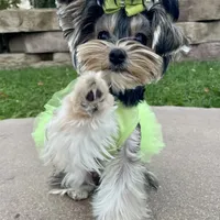 processed/beee1f81-b439-43ca-8291-f8a94e0e4429/facility/3ed045c1-492d-4939-8ffc-a2e378fdb141