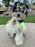 processed/beee1f81-b439-43ca-8291-f8a94e0e4429/facility/3ed045c1-492d-4939-8ffc-a2e378fdb141