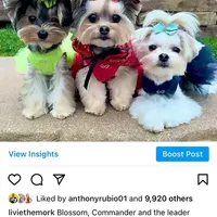 processed/beee1f81-b439-43ca-8291-f8a94e0e4429/facility/487a3d30-1d70-49ed-9c10-e8a36ca19451