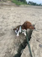 processed/beee1f81-b439-43ca-8291-f8a94e0e4429/facility/7086799c-32a0-414a-8c72-f1c06ea50eb9