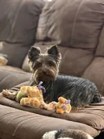 processed/beee1f81-b439-43ca-8291-f8a94e0e4429/facility/cd302d31-6172-46ca-bbe6-74ef8f35d7c8