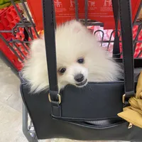 processed/beef6456-bfb7-48f2-b50a-133d6d8526ab/facility/005eee55-faf3-44be-a017-f08886b0a223