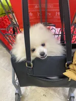 processed/beef6456-bfb7-48f2-b50a-133d6d8526ab/facility/005eee55-faf3-44be-a017-f08886b0a223